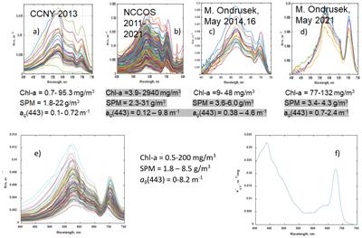 Development of VIIRS-OLCI chlorophyll-a product for the coastal estuaries